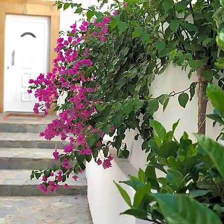 Dominik Patmos Town